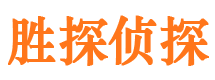 宾阳侦探公司